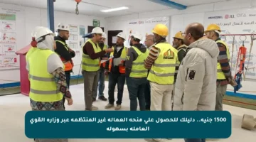 1500 جنيه.. دليلك للحصول على منحة العمالة غير المنتظمة عبر وزارة القوى العاملة بسهولة